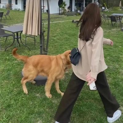 美洲奇谭