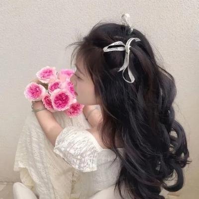 公主复仇者2:战士再起